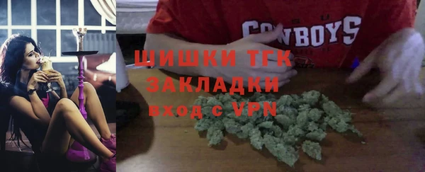 дживик Богородицк