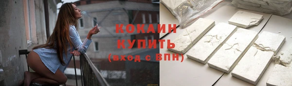 дживик Богородицк