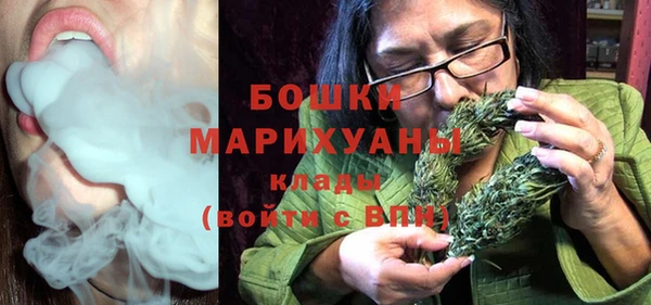 дживик Богородицк