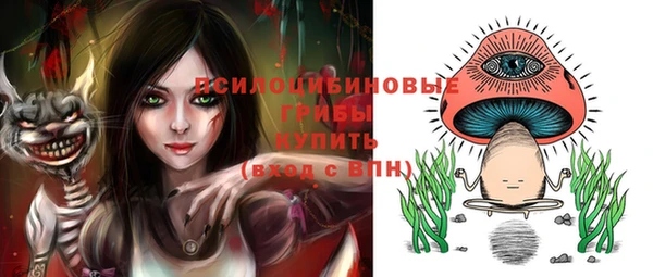 дживик Богородицк
