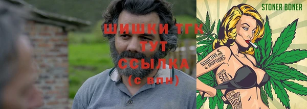 дживик Богородицк