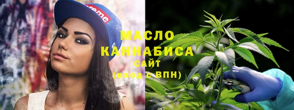 дживик Богородицк