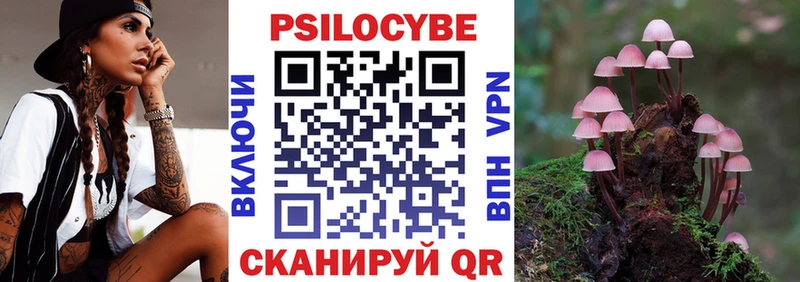 купить закладку  Холм  Галлюциногенные грибы Cubensis 